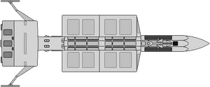 DY-100 (10-laden) (dorsal).png