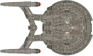 NX cruiser (dorsal).png