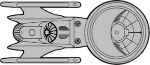 Scylla (ventral).png