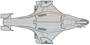 B6 (dorsal).png