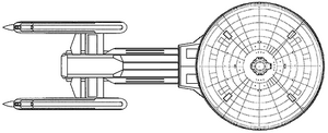 Osaka (ventral).png