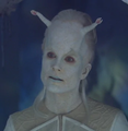 Thumbnail for version as of 19:29, 22 December 2022