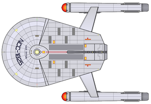 Anton (2265) (dorsal).png