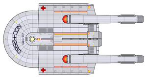 Hobby (2265) (dorsal).png