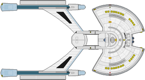 Akyazi (Adrasil)(ventral).png