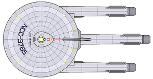 Searay (2265) (dorsal).png