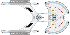 Akula PAC (dorsal).png