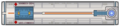 MCC-003 (dorsal)