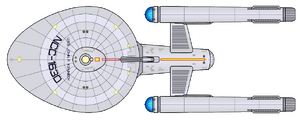Kennedy (2265) (dorsal).png
