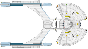 Arbiter (ventral).png