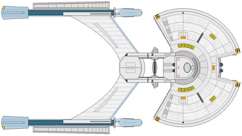 File:Arbiter (ventral).png