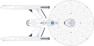 Impervious (dorsal).jpg