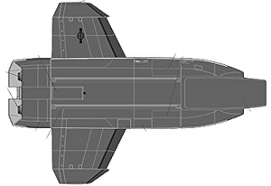 Class B1 (ventral).png