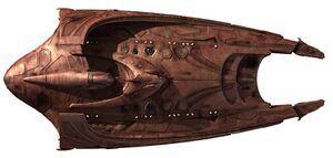 Kahs'khiori (dorsal).jpg
