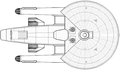 dorsal