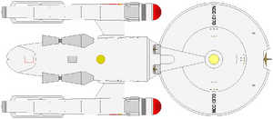 Archon (ventral).png
