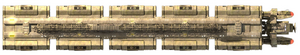 Class J (dorsal).png