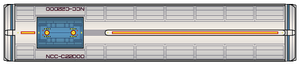 Bulk 2275 (dorsal).png