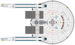 Hensley (ventral).png