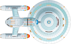 Ambassador upgrade (ventral).png