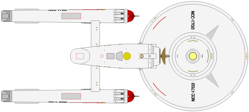 File:Constitution (ventral).png