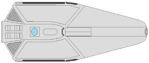 Class B2 (dorsal).png