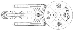 Deneb (dorsal).png