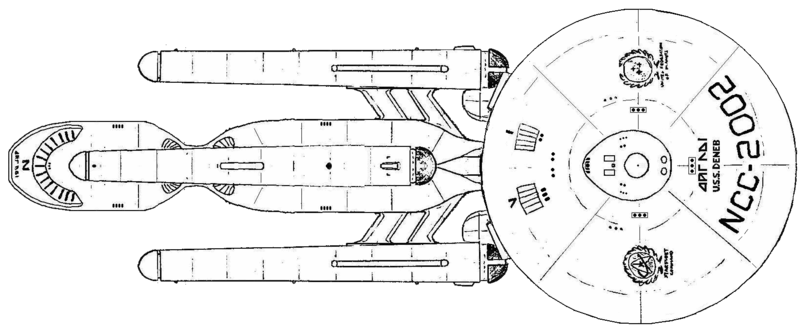 File:Deneb (dorsal).png