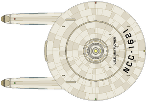 Burke Flt II (dorsal).png