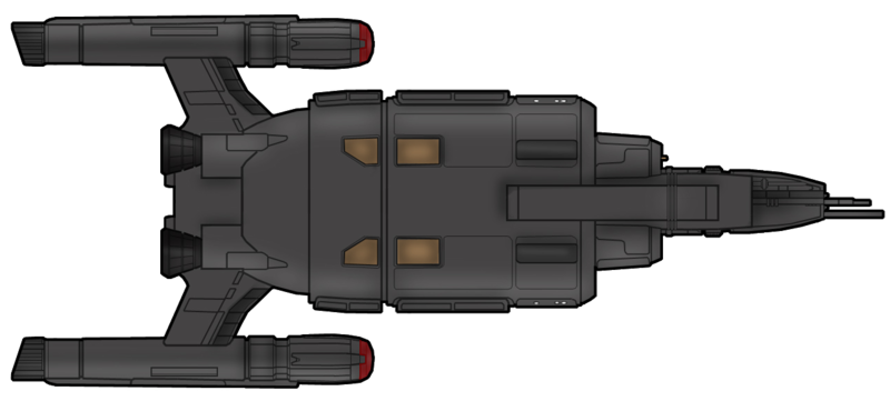 File:Conestoga colonizer (ventral).png