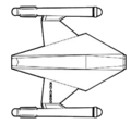 Dorsal view