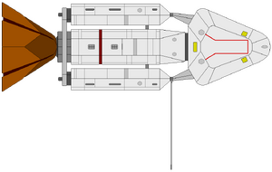 Bonaventure (ventral).png