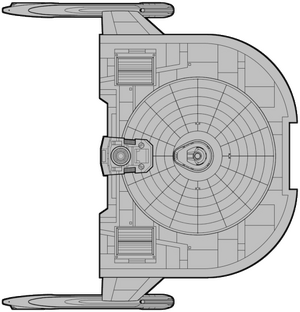 Brenton (dorsal).png