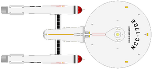 Constitution (dorsal).png