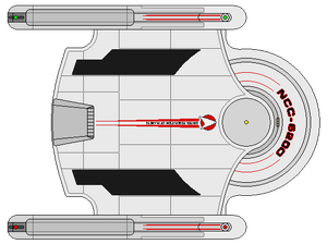 Clarke (supply) (ventral).png