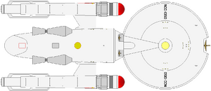 Essex (ventral).png