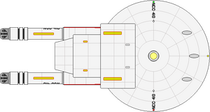Ascot (ventral).png