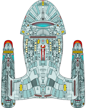 Galaxy (Eng section, ventral).png