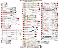 Thumbnail for version as of 16:32, 12 March 2024