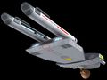 Starboard ventral view