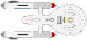 Bonaventure -099 -3 (ventral).png