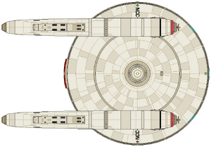 Burke Flt IV (ventral).png