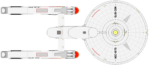Coronado (ventral).png