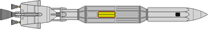 DY-50 (ventral).png