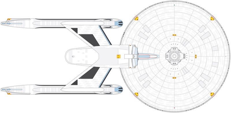File:Impervious (ventral).jpg