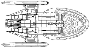 Philadelphia (ventral).png