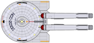 Derf (2245)(dorsal).png