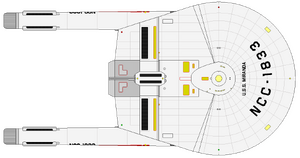Miranda (dorsal).png