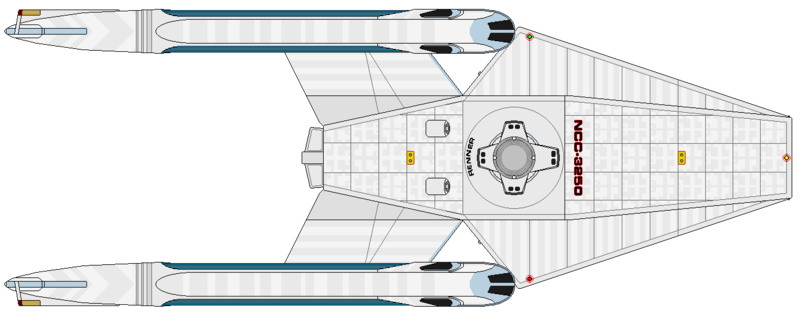 File:Renner (ventral).png