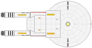 Dace (2214) (ventral).png